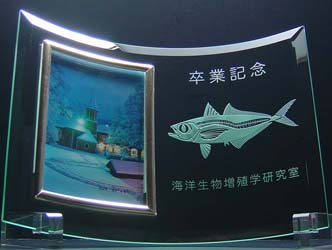 ���ƋL�O�i�@�t�H�g�t���[���@�[�~�@������