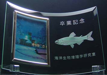 ���ƋL�O�i ������