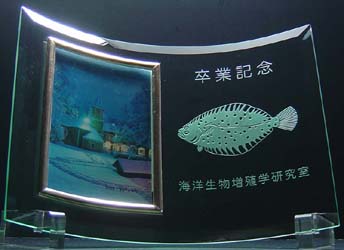 ���ƋL�O�i ������ �I���W�i���L�O�i